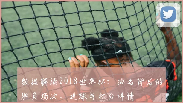 数据解读2018世界杯：排名背后的胜负场次、进球与积分详情