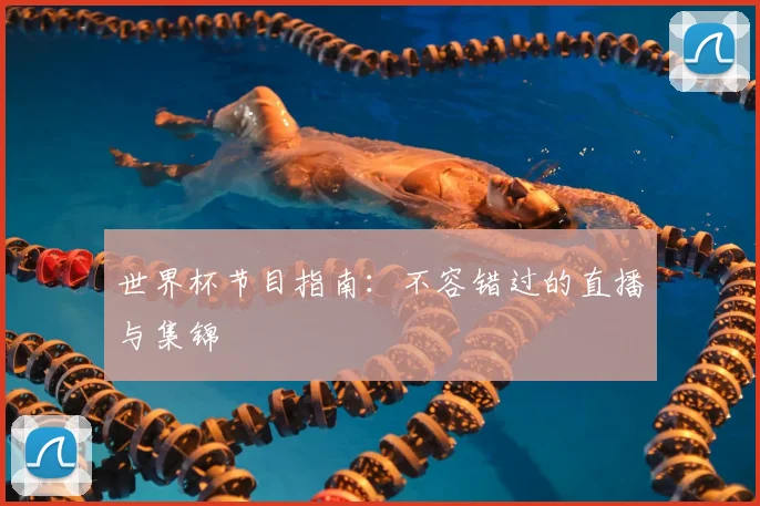 世界杯节目指南：不容错过的直播与集锦