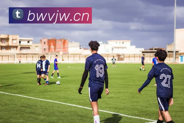 星空官网在线免费登录平台生态图